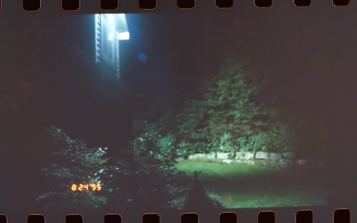 Nighttime pic of yard next to house, summery greens, lit only by big LED